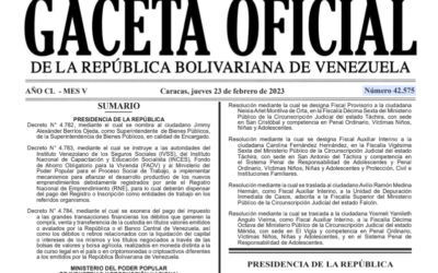 Publican en Gaceta Oficial el decreto que exonera el IGTF, que estará vigente por un año